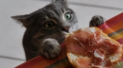 Парите се потребни само за обука? Ги отфрли митовите со сонити